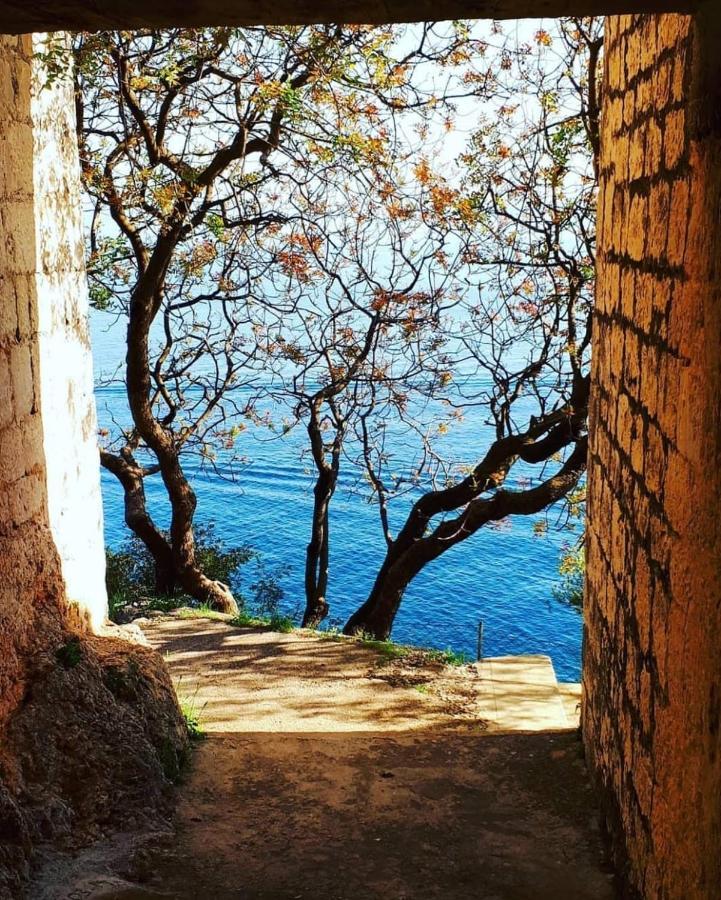 Eden Mediterranean House Vrsine Dış mekan fotoğraf